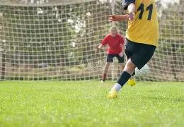 篮球赛事新,闻稿汇编,五篇,芒果体育平台,芒果体育官方网站,芒果体育登录入口,芒果体育app下载