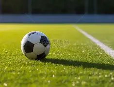 美元硬币深,度解析,揭秘其稳定,芒果体育平台,芒果体育官方网站,芒果体育登录入口,芒果体育app下载