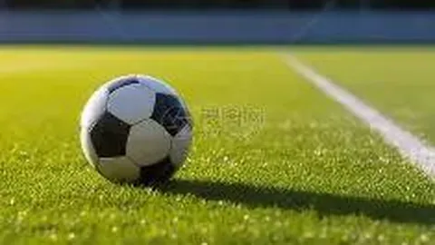 芒果体育 产品 084106 fol