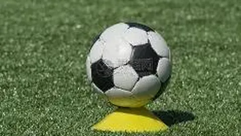 芒果体育 资讯 084917 gzq