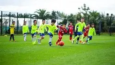 芒果体育 产品 084908 uak