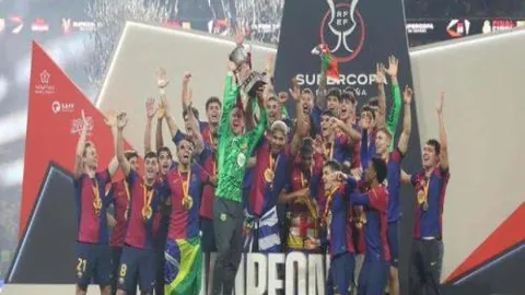 芒果体育 产品 083704 dov