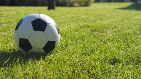 万比萨卡女友车祸伤人案，法庭审理细节曝光