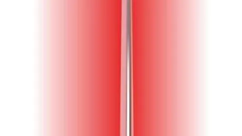 芒果体育 103811 79